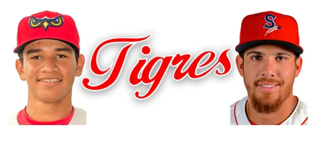 1407NuevosTigres.jpg