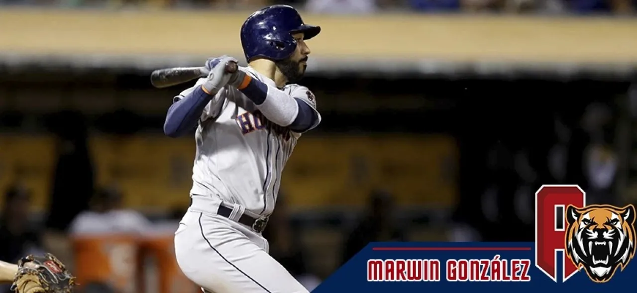 3501MARWIN NOTI TIGRE WEB-Recuperado.png