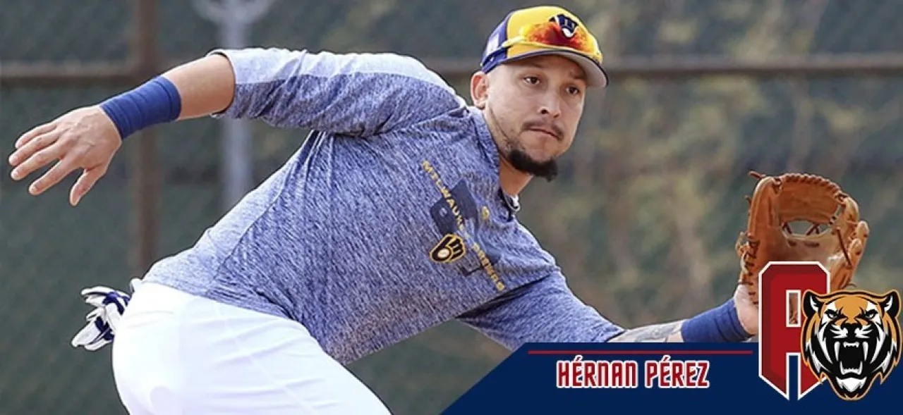 NOTI TIGRE WEB-HERNANPEREZZZZZZ