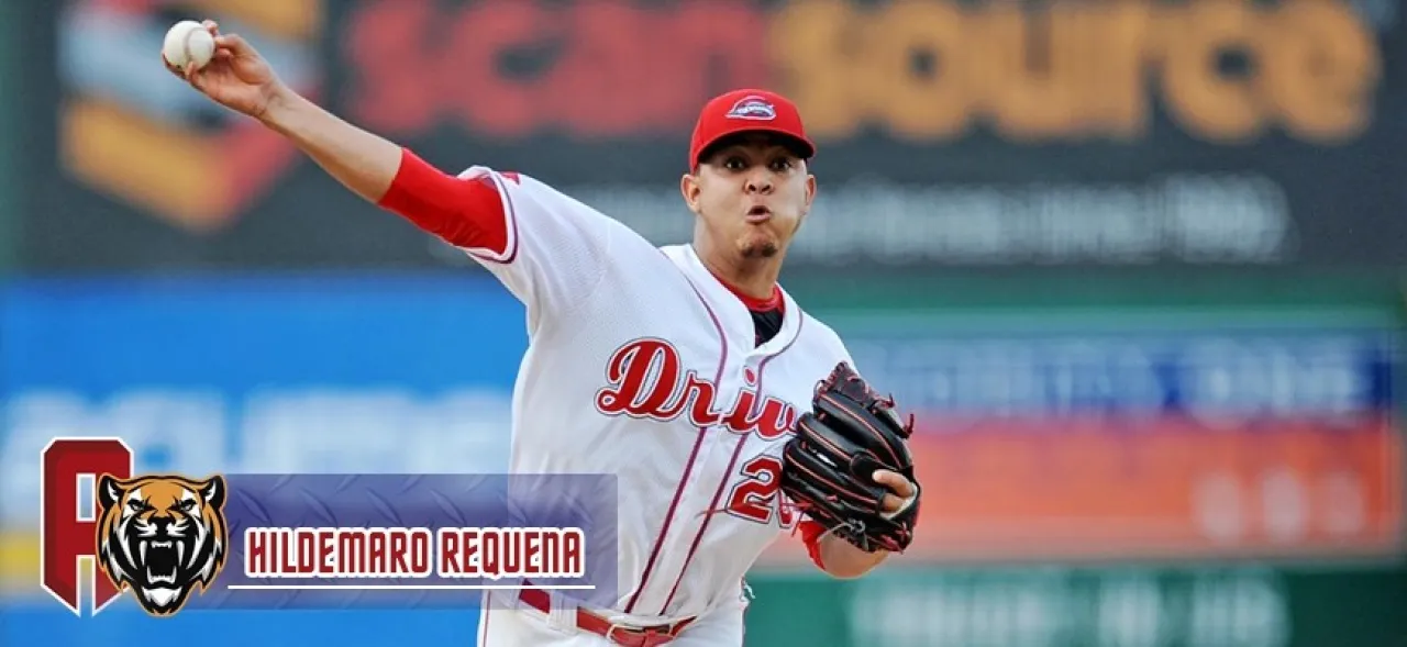 NOTI TIGRE WEB-HILDEMAROOOO