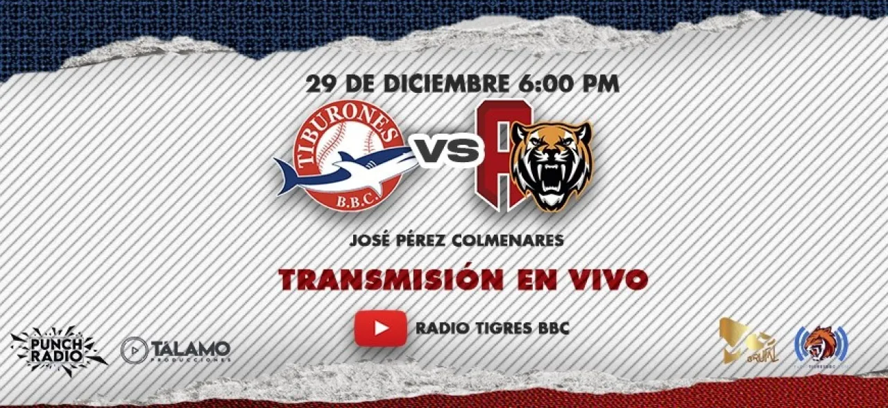 transmision websa